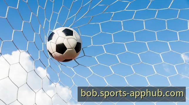 BOB App 官方客户端界面体验